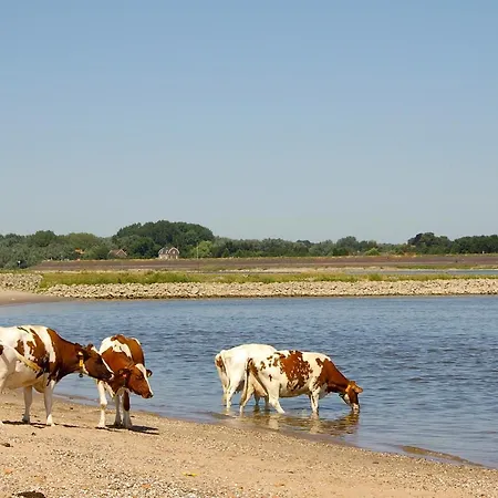 Recreatiewoning Maas En Waal 92