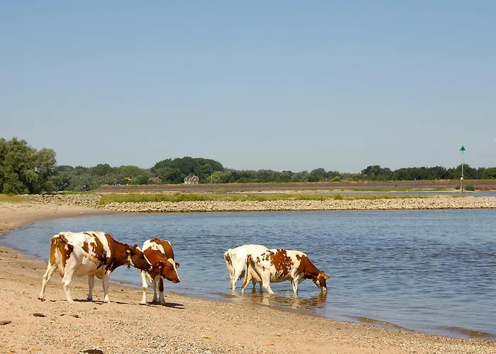Recreatiewoning Maas En Waal 92